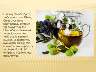 Η ειηά ή ειαηόδελδξν ή
ιηόδεληξν (επηζη. Ειαία,
Olea) είλαη γέλνο
θαξπνθόξωλ δέληξωλ
ηεο νηθνγέλεηαο ηωλ
Ειαηνεηδώλ (Oleaceae),
ην νπνίν ζπλαληάηαη
πνιύ ζπρλά θαη ζηελ
Ειιάδα. Ο θαξπόο ηνπ
νλνκάδεηαη επίζεο ειηά
θαη από απηόλ παξάγεηαη
ην ειαηόιαδν. Η ειηά
ππήξμε ην ζύκβνιν ηεο
ζεάο Αζελάο.

 