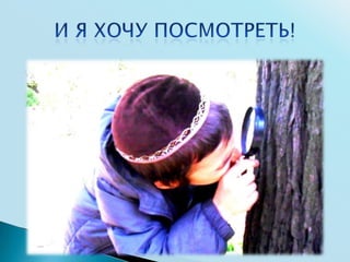 Урок природоведения в начальной еврейской школе 