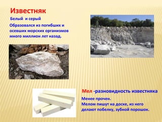 Известняк
Белый и серый
Образовался из погибших и
осевших морских организмов
много миллион лет назад.

Мел -разновидность известняка
Менее прочен.
Мелом пишут на доске, из него
делают побелку, зубной порошок.

 