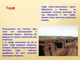 Торф

Используется как топливо. Для
этого
его
спрессовывают
в
небольшие бруски – брикеты. На
фермах он служит подстилкой для
животных.
1 кг торфа впитывают до 20 кг
влаги. Торф содержит вещества,
которые убивают болезнетворные
бактерии.
Торф
–
хорошее
удобрение. Из него получают
некоторые лекарства.

Торф тёмно-коричневого цвета.
Образуется в болотах
из
отмерших остатков растений. За
год образуется 1 мм торфа.
Залежи могут достигать несколько
метров.

 