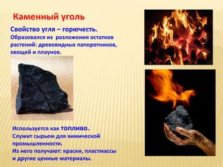 Каменный уголь
Свойство угля – горючесть.

Образовался из разложения остатков
растений: древовидных папоротников,
хвощей и плаунов.

Используется как топливо.
Служит сырьем для химической
промышленности.
Из него получают: краски, пластмассы
и другие ценные материалы.

 