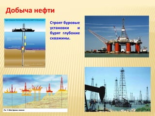 Добыча нефти
Строят буровые
установки
и
бурят глубокие
скважины.

 