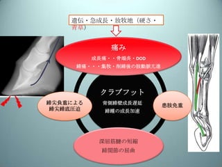 装蹄療法 クラブフット ロングトーアンダーランヒール 挙踵 裂蹄