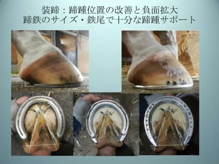 装蹄：蹄踵位置の改善と負面拡大
蹄鉄のサイズ・鉄尾で十分な蹄踵サポート

 