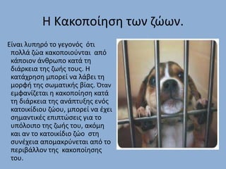 Η Κακοποίθςθ των ηϊӬν.
Είναι λυπθρό το γεγονόσ ότι
πολλά ηϊα κακοποιοφνται από
κάποιον άνκρωπο κατά τθ
διάρκεια τθσ ηωισ τουσ. Η
κατάχρθςθ μπορεί να λάβει τθ
μορφι τθσ ςωματικισ βίασ. Όταν
εμφανίηεται θ κακοποίθςθ κατά
τθ διάρκεια τθσ ανάπτυξθσ ενόσ
κατοικίδιου ηϊου, μπορεί να ζχει
ςθμαντικζσ επιπτϊςεισ για το
υπόλοιπο τθσ ηωισ του, ακόμθ
και αν το κατοικίδιο ηϊο ςτθ
ςυνζχεια απομακρφνεται από το
περιβάλλον τθσ κακοποίθςθσ
του.

 