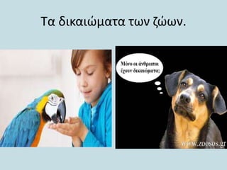 Τα δικαιϊματα των ηϊӬν.

 