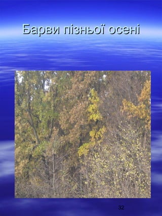 Барви пізньої осені

32

 