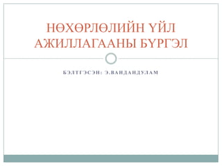 НӨХӨРЛӨЛИЙН ҮЙЛ
АЖИЛЛАГААНЫ БҮРГЭЛ
Б ЭЛ Т Г Э С Э Н : Э . ВА Н Д А Н Д УЛ А М

 