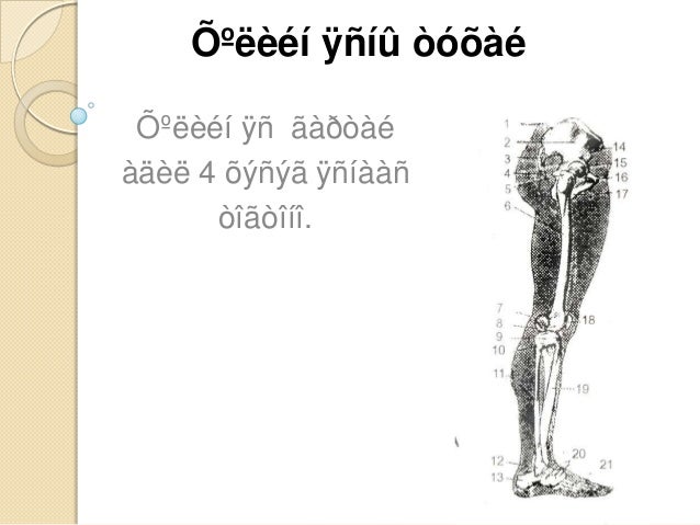 хөл хэрхэн дүрслэх