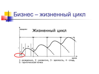 Бизнес – жизненный цикл

 