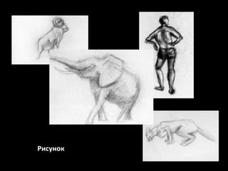 Рисунок

 