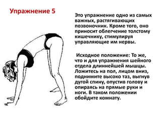 Упражнение 5

Это упражнение одно из самых
важных, растягивающих
позвоночник. Кроме того, оно
приносит облегчение толстому
кишечнику, стимулируя
управляющие им нервы.
Исходное положение: То же,
что и для упражнения шейного
отдела длиннейшей мышцы.
Ложитесь на пол, лицом вниз,
поднимите высоко таз, выгнув
дугой спину, опустив голову и
опираясь на прямые руки и
ноги. В таком положении
обойдите комнату.

 