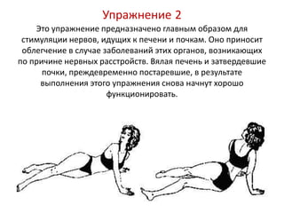 Упражнение 2
Это упражнение предназначено главным образом для
стимуляции нервов, идущих к печени и почкам. Оно приносит
облегчение в случае заболеваний этих органов, возникающих
по причине нервных расстройств. Вялая печень и затвердевшие
почки, преждевременно постаревшие, в результате
выполнения этого упражнения снова начнут хорошо
функционировать.

 