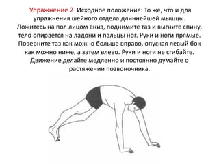 Упражнение 2 Исходное положение: То же, что и для
упражнения шейного отдела длиннейшей мышцы.
Ложитесь на пол лицом вниз, поднимите таз и выгните спину,
тело опирается на ладони и пальцы ног. Руки и ноги прямые.
Поверните таз как можно больше вправо, опуская левый бок
как можно ниже, а затем влево. Руки и ноги не сгибайте.
Движение делайте медленно и постоянно думайте о
растяжении позвоночника.

 