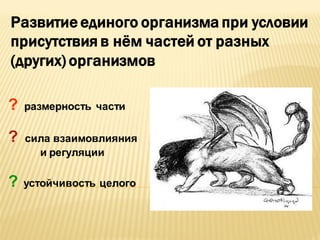 Развитие единого организма при условии
присутствия в нём частей от разных
(других) организмов
?

размерность части

?

сила взаимовлияния
и регуляции

?

устойчивость целого

 