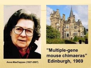 Анна МакЛаррен (1927-2007)

”Multiple-gene
mouse chimaeras”
Edinburgh, 1969

 