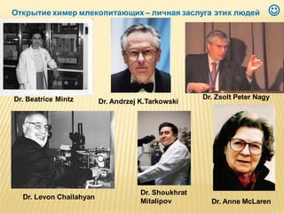 Открытие химер млекопитающих – личная заслуга этих людей

Dr. Beatrice Mintz

Dr. Levon Chailahyan

Dr. Andrzej K.Tarkowski

Dr. Shoukhrat
Mitalipov



Dr. Zsolt Peter Nagy

Dr. Anne McLaren

 