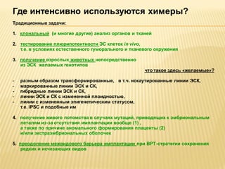 Где интенсивно используются химеры?
Традиционные задачи:
1. клональный (и многие другие) анализ органов и тканей
2. тестирование плюрипотентности ЭС клеток in vivo,
т.е. в условиях естественного гуморального и тканевого окружения
3. получение взрослых животных непосредственно
из ЭСК желаемых генотипов
что такое здесь «желаемые»?
-

разным образом трансформированные, в т.ч. нокаутированные линии ЭСК,
маркированные линии ЭСК и СК,
гибридные линии ЭСК и СК,
линии ЭСК и СК с измененной плоидностью,
линии с измененным эпигенетическим статусом,
т.е. iPSC и подобные им

4. получение живого потомства в случаях мутаций, приводящих к эмбриональным
леталям из-за отсутствия имплантации вообще (1) ,
а также по причине аномального формирования плаценты (2)
и/или экстраэмбриональных оболочек
5. преодоление межвидового барьера имплантации при ВРТ-стратегии сохранения
редких и исчезающих видов

 