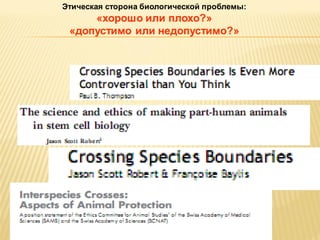 Этическая сторона биологической проблемы:

«хорошо или плохо?»
«допустимо или недопустимо?»

 