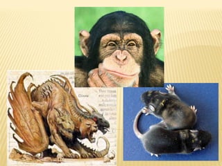 Сага о химерах. Елена Кизилова