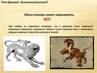 Что думают биологи развития?

Облик химеры может варьировать.

НО!
При любом из вариантов очевидно, что в развитии этого животного
произошли серьёзные нарушения общего плана строения тела и симметрии,
нарушен принцип гомологии органов и тканей.

 