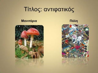 Τίηινο: αληηθαηηθόο
Μαλητάξηα

Πόιε

 