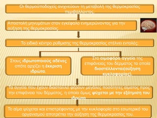 Οη ζεξκνϋπνδνρείο αληρλεύνπλ ηε κεηαβνιή ηεο ζεξκνθξαζίαο
πεξηβάιινληνο.
Απνζηνιή κελπκάησλ ζηνλ εγθέθαιν ελεκεξώλνληαο γηα ηελ
αύμεζε ηεο ζεξκνθξαζίαο.
Τν εηδηθό θέληξν ξύζκηζεο ηεο ζεξκνθξαζίαο ζηέιλεη εληνιέο:

Σηνπο ιδπυηοποιούρ αδένερ
νπόηε αξρίδεη ε έκκπιζη
ιδπώηα.

Σηα αιμοθόπα αγγεία ηεο
επηθάλεηαο ηνπ δέξκαηνο ηα νπνία
διαζηέλλονηαι(αύξηζη
κςκλοθοπίαρ).

Τα αγγεία πνπ έρνπλ δηαζηαιιεί θέξνπλ κεγάιεο πνζόηεηεο αίκαηνο πξνο
ηελ επηθάλεηα ηνπ δέξκαηνο, ε νπνία όκσο τύσεηαι με ηην εξάημιζη ηος
ιδπώηα.
Τν αίκα ςύρεηαη θαη επηζηξέθνληαο κε ηελ θπθινθνξία ζην εζσηεξηθό ηνπ
νξγαληζκνύ απνηξέπεη ηελ αύμεζε ηεο ζεξκνθξαζίαο ηνπ.

 