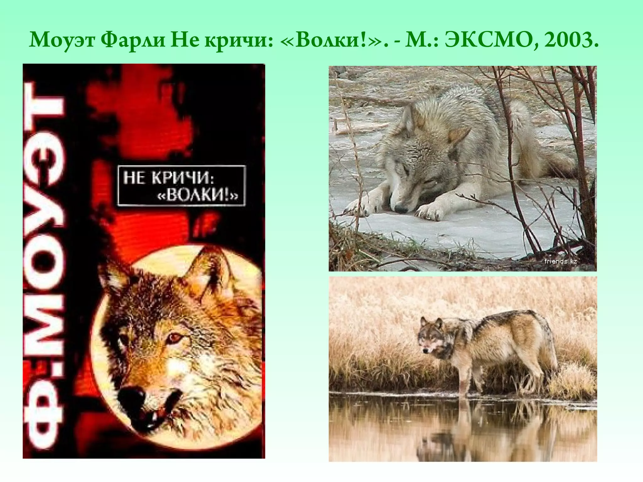 Моуэт Фарли Не кричи: «Волки!». - М.: ЭКСМО, 2003.

 