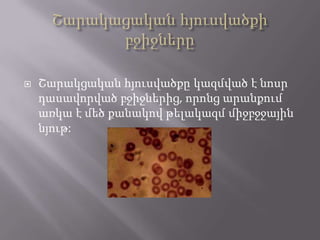 

Շարակցական հյուսվածքը կազմված է նոսր
դասավորված բջիջներից, որոնց արանքում
առկա է մեծ քանակով թելակազմ միջբջջային
նյութ:

 