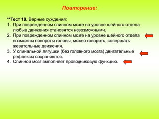 Повторение:
**Тест 10. Верные суждения:
1. При поврежденном спинном мозге на уровне шейного отдела
любые движения становятся невозможными.
2. При поврежденном спинном мозге на уровне шейного отдела
возможны повороты головы, можно говорить, совершать
жевательные движения.
3. У спинальной лягушки (без головного мозга) двигательные
рефлексы сохраняются.
4. Спинной мозг выполняет проводниковую функцию.

 