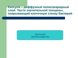 Капсула – диффузный полисахаридный
слой. Часто значительной толщины,
покрывающий клеточную стенку бактерий

ПРОЧТИТЕ
ВОПРОС ЕЩЕ РАЗ

 
