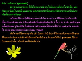 คำว่ำ “วงกลีบรวม” (perianth)
มีควำมหมำยหลำยอย่ำง ใช้ได้ในหลำยกรณี เช่น ใช้เป็นคำรวมที่เรียกทั้งกลีบเลี้ยง และ
กลีบดอก นั่นคือในกรณีนี้ perianth จะหมำยถึงวงกลีบทั้งหมดของพืชซึ่งสำมำรถแยกได้เป็นวง
กลีบเลี้ยงและวงกลีบดอก
แต่ในดอกไม้บำงชนิดที่ลักษณะของวงกลีบไม่สำมำรถจำแนกได้ชัดเจนว่ำจะเป็นวงกลีบ
เลี้ยง หรือวงกลีบดอก เช่น บัวจีน พลับพลึง ซึ่งแต่ละชนิดมีวงกลีบ 2 ชั้น ๆ ละ 3 กลีบ แต่กลีบในแต่
ละชั้นมีลักษณะ รูปร่ำง สีสัน ที่เหมือนกัน ในลักษณะเช่นนี้ก็สำมำรถใช้คำว่ำ perianth แทนกลีบ
ทั้ง 6 กลีบ และเรียกแต่ละกลีบว่ำ กลีบรวม (tepal)
หรือในดอกไม้อีกหลำยๆ ชนิด เช่น บัวหลวง จำปี จำปำ ที่มีจำนวนกลีบมำกและมีลักษณะ
ที่ไม่แตก ต่ำงกันอย่ำงเด่นชัด หรือมีควำมคล้ำยคลึงกันมำก ก็สำมำรถใช้คำว่ำ perianth ได้และ
เรียกแต่ละกลีบนั้นว่ำเป็นกลีบรวมได้เช่นเดียวกัน

 