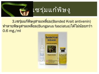 เซรุม แก้พ ษ งู
่
ิ
3.เซรุ่มแก้พษงูสามเหลี่ยม(Banded Krait antivenin)
ิ
ทำาลายพิษงูสามเหลี่ยม(Bungarus fasciatus)ได้ไม่นอยกว่า
้
0.6 mg./ml

 