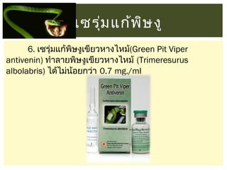 เซรุม แก้พ ษ งู
่
ิ
6. เซรุ่มแก้พิษงูเขียวหางไหม้(Green Pit Viper
antivenin) ทำาลายพิษงูเขียวหางไหม้ (Trimeresurus
albolabris) ได้ไม่นอยกว่า 0.7 mg./ml
้

 