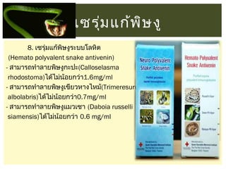 เซรุม แก้พ ษ งู
่
ิ
8. เซรุ่มแก้พิษงูระบบโลหิต
(Hemato polyvalent snake antivenin)
- สามารถทำาลายพิษงูกะปะ(Calloselasma
rhodostoma)ได้ไม่น้อยกว่า1.6mg/ml
- สามารถทำาลายพิษงูเขียวหางไหม้(Trimeresurus
albolabris)ได้ไม่น้อยกว่า0.7mg/ml
- สามารถทำาลายพิษงูแมวเซา (Daboia russelli
siamensis)ได้ไม่น้อยกว่า 0.6 mg/ml 

 