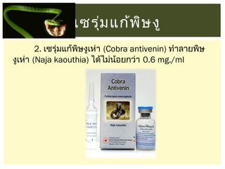 เซรุม แก้พ ษ งู
่
ิ
2. เซรุ่มแก้พิษงูเห่า (Cobra antivenin) ทำาลายพิษ
งูเห่า (Naja kaouthia) ได้ไม่นอยกว่า 0.6 mg./ml
้

 