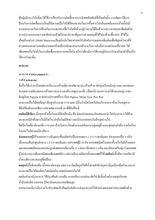 6
ผูหญิงมีแนวโน้มที่จะใช้วธีกำรป้ องกันกำรติดเชื้อจำกกำรมีเพศสัมพันธ์ที่นอยดังนั้น กำรพัฒนำวิธีกำร
้
ิ
้
ป้ องกันกำรติดเชื้ อแบบใหม่ก็มีควำมเป็ นไปได้ที่คนจะสนใจมำกขึ้นสำรโปรตีนเลคตินจำกกล้วยนี้ยงมี
ั
ควำมสำมำรถในกำรป้ องกันกำรแพร่ ของเชื้ อไวรัสที่เข้ำมำสู่ ร่ำงกำยได้อีกด้วย และรำคำของยำที่ผลิตด้วย
สำรประกอบจำกธรรมชำติอย่ำงกล้วยก็น่ำจะมีรำคำที่ถูกกว่ำส่ วนผสมที่ใช้ในยำต้ำนเชื้ อ HIV ที่ใช้ใน
่
ปั จจุบนอย่ำงT-20และ Maravirocปั จจุบนนักวิทยำศำสตร์ กำลังทำกำรทดลองเพิ่มเติมเพื่อพิสูจน์วำยำที่มี
ั
ั
ส่ วนผสมของสำรเลคตินจำกผลกล้วยเป็ นหลักจะสำมำรถทำงำนในกำรยับยั้งกำรแพร่ ของเชื้อ HIV ได้
ั
เพียงพอหรื อไม่ท้ งในกำรติดเชื้อระยะยำวและเรื้ อรัง หรื อว่ำต้องมีกำรใช้ควบคู่กบกำรรักษำกับยำตัวอื่นหรื อ
ั
วิธีกำรรักษำอื่น
มะละกอ
มะละกอ Carica papaya L.
วงศ์ Caricaceae
ชื่ออื่นได้แก่ มะก๊วยเทศ (เหนือ) มะกล้วยเต็ด (พำยัพ) มะหุ่ง (ล้ำนช้ำง) บักหุ่งหรื อหมักหุ่ง (เลย นครพนม)
สะกุยเส (แม่ฮ่องสอน) กล้วยลำ (ยะลำ) แตงต้น (สตูล) มะเต๊ะ (ปัตตำนี) ลอกอ (ภำคใต้และมลำยู) ภำษำ
ฮินดูเรี ยก Papeeta ภำษำต่ำงประเทศอื่นๆ เรี ยก Papaya, Melan Tree, Paw Paw
มะละกอเป็ นไม้ผลล้มลุก ต้นสู งประมำณ 5-10 เมตร มีถิ่นกำเนิดในทวีปอเมริ กำกลำง เข้ำมำในหมู่เกำะ
ฟิ ลิปปิ นส์และเอเชียรำวปลำยศตวรรษที่ 10 ที่ฟิลิปปิ นส์
ผลดิบมีสีเขียว เมื่อสุ กแล้วเนื้ อในจะมีสีเหลืองถึง ส้ม นิยมนำผลสดมำกินสดและนำไปปรุ งอำหำรได้ดวย
้
มะละกอมีลำต้นตรงไม่มีกิ่งก้ำน ลำต้นนิ่มมีสีเทำ และมีร่องรอยของใบที่หลุดร่ วงไป
่ ้
ใบเป็ นใบเดี่ยวมีแฉกลึก 5-9 แฉก ก้ำนใบยำว เรี ยงตัวแบบสลับเกำะกลุ่มอยูดำนบนสุ ดของลำต้น ภำยในก้ำน
ใบและใบมียำงเหนียวสี ขำว
ช่ อดอกเพศผูมีกำนดอกยำว กลีบดอกเชื่อมติดกันเป็ นหลอดยำว 1.5-2.5 เซนติเมตร ปลำยแยกเป็ น 5 กลีบ
้ ้
้
เมื่อบำนเส้นผ่ำศูนย์กลำง 1.5-2.5 เซนติเมตร เกสรเพศผูมี 10 อัน ดอกเพศเมียก้ำนดอกสั้นหรื อไม่มีกำนดอก
้
เลย ดอกเพศเมียและดอกสมบูรณ์เพศออกเดี่ยวหรื อ 2-3 ดอก กลีบดอก 5 กลีบ ดอกมีขนำดใหญ่กว่ำดอกเพศ
ผู ้ มะละกอบำงต้นอำจมีดอกเพียงเพศเดียว แต่บำงต้นอำจมีดอกทั้งสองเพศก็ได้ ผลดิบมีเนื้อสี ขำวอมเขียวมี
่
น้ ำยำงสี ขำวสะสมอยูที่เปลือก
ผลสุ กมีเนื้ อสี แดงส้ม เนื้ อหนำอ่อนนุ่ม รสหวำน มีเมล็ดรู ปไข่สีน้ ำตำลดำผิวขรุ ขระมีถุงเมือกหุมจำนวนมำก
้
มะละกอเป็ นไม้ผลที่คนไทยนิยมกิน ยอดอ่อนดองกินได้
ผลดิบนำมำปรุ งอำหำร ใช้ปรุ งส้มตำ แกงส้ม แกงเหลือง แกงอ่อม ผัดไข่ ต้มจิ้มน้ ำพริ ก ผลสุ กกินสด
น้ ำมีรสชำติหวำนหอม มีวตำมินเอและแคลเซี ยมสู ง
ิ
นอกจำกจะมีกำรกินภำยในประเทศแล้วปั จจุบนยังมีกำรส่ งมะละกอไปจำหน่ำยตลำดต่ำงประเทศอีกด้วย
ั

 