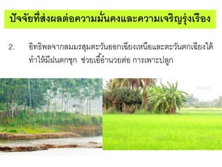 ปั จจัยที่ส่งผลต่ อความมั่นคงและความเจริญรุ่ งเรือง
2.

อิทธิพลจากลมมรสุมตะวันออกเฉียงเหนือและตะวันตกเฉียงใต้
ทาให้ มีฝนตกชุก ช่วยเอื ้อานวยต่อ การเพาะปลูก

 