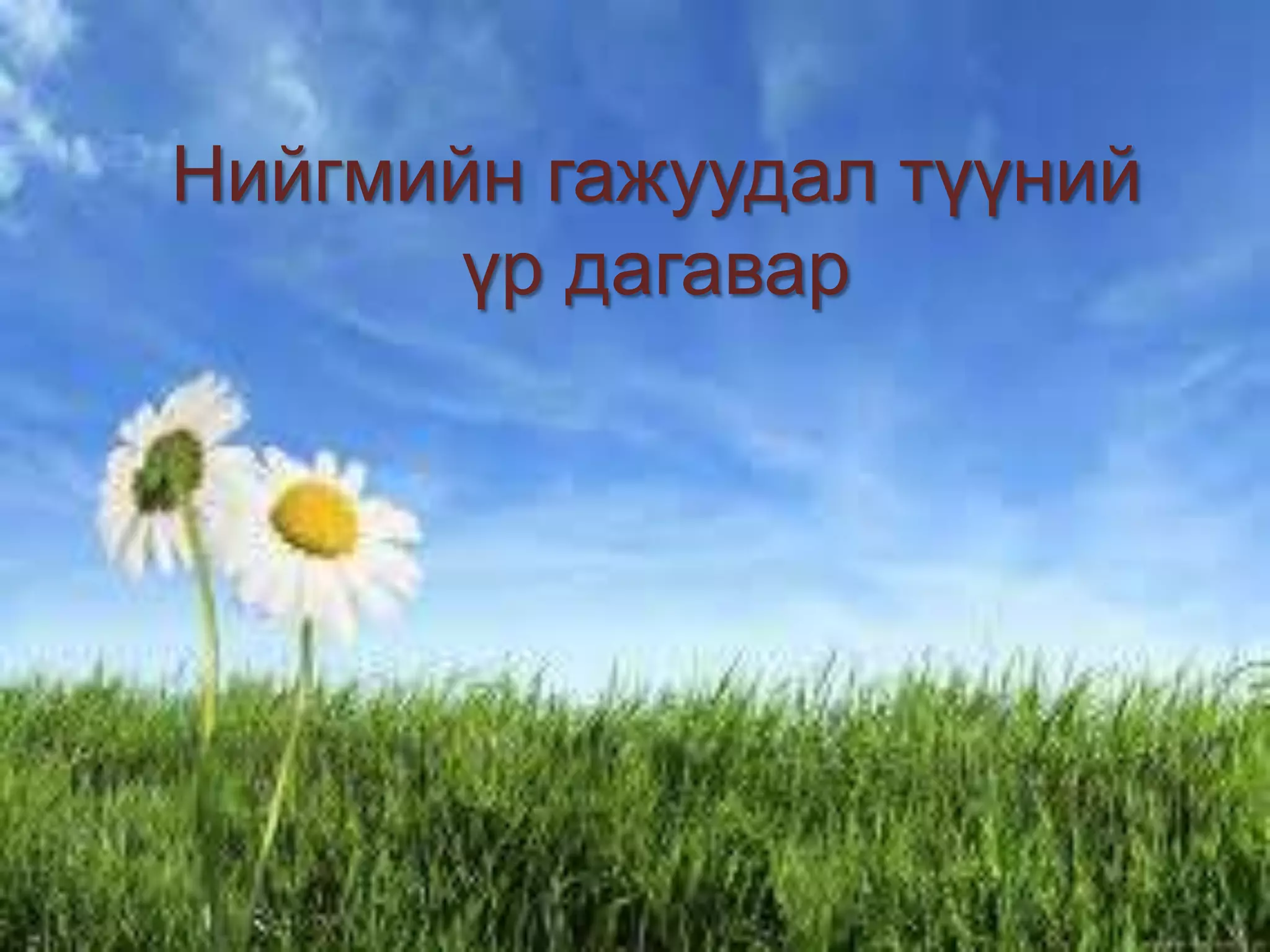 Нийгмийн гажуудал түүний
үр дагавар

 