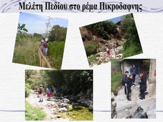 προγράμμα κπε αργ. ρέματος   συνοπτικό