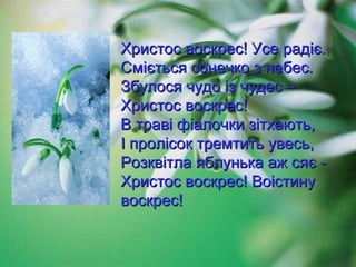 Христос воскрес! Усе радіє.
Сміється сонечко з небес.
Збулося чудо із чудес –
Христос воскрес!
В траві фіалочки зітхають,
І пролісок тремтить увесь,
Розквітла яблунька аж сяє Христос воскрес! Воістину
воскрес!

 