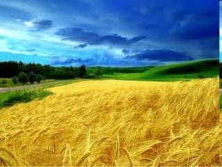 Літературно  музичний вечір З Україною в серці