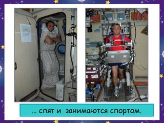 … спят и занимаются спортом.

 