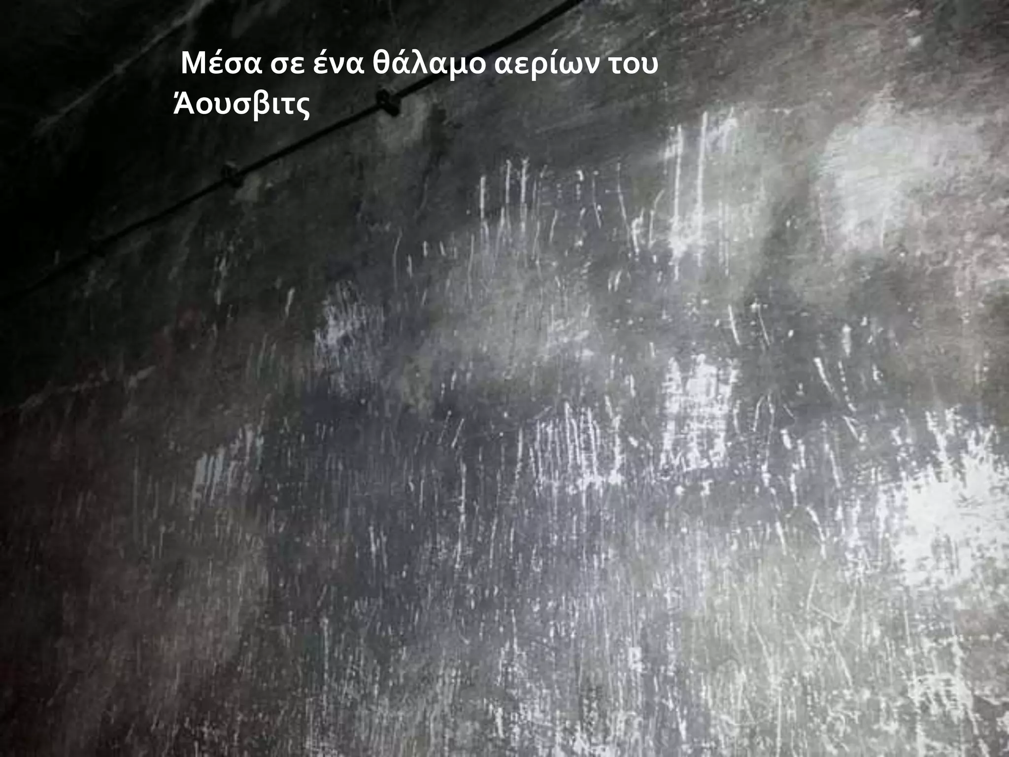 Μϋςα ςε ϋνα θϊλαμο αερύων του
Άουςβιτσ

 