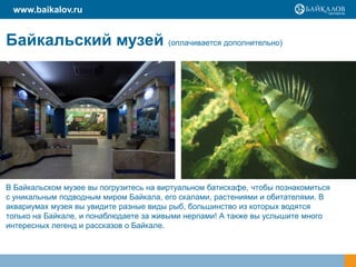 www.baikalov.ru

Байкальский музей (оплачивается дополнительно)

В Байкальском музее вы погрузитесь на виртуальном батискафе, чтобы познакомиться
с уникальным подводным миром Байкала, его скалами, растениями и обитателями. В
аквариумах музея вы увидите разные виды рыб, большинство из которых водятся
только на Байкале, и понаблюдаете за живыми нерпами! А также вы услышите много
интересных легенд и рассказов о Байкале.

 