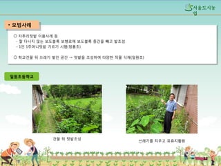 섵Ӛ도시농
업

• 모범사례
○ 자투리텃밭 이용사례 등
- 잘 다니지 않는 보도블록 보행로에 보도블록 중간을 빼고 밭조성
- 1인 1주머니텃밭 기르기 시행(청룡초)
○ 학교건물 뒤 쓰레기 쌓인 공간 → 텃밭을 조성하여 다양한 작물 식재(일원초)

일원초등학교

건물 뒤 텃밭조성

쓰레기를 치우고 유휴지활용

12

 