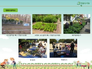 섵Ӛ도시농
업
청룡초등학교

보도블럭을 빼고 텃밭조성(봄)

보행로 보도블럭 빼고 텃밭조성(여름)

벼 탈곡

배추벌레잡기

떡매치기

13

 