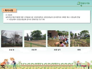 섵Ӛ도시농
업

• 특이사항
○ 사당초
농장조성 예산지원에 따른 고마움표시로 사당초등학교 교장선생님의 감사편지와 수확한 채소 시장님께 전달
⇒ 시장님께서 교장선생님께 감사의 전화드림 (‘12.7.18)

조성 전

조성 후

모종 심기

현재

15

 