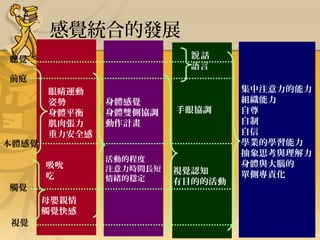 感覺統合的發展
說話
語言

聽覺
前庭
身體感覺
身體雙側協調
動作計畫

吸吮
吃

本體感覺

眼睛運動
姿勢
身體平衡
肌肉張力
重力安全感

活動的程度
注意力時間長短
情緒的穩定

觸覺
母嬰親情
觸覺快感
視覺

手眼協調

視覺認知
有目的的活動

集中注意力的能力
組織能力
自尊
自制
自信
學業的學習能力
抽象思考與理解力
身體與大腦的
單側專責化

 