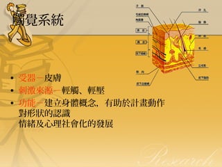 觸覺系統

• 受器－皮膚
• 刺激來源－輕觸、輕壓
• 功能－建立身體概念，有助於計畫動作
對形狀的認識
情緒及心理社會化的發展

 